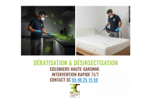 Nos prestations sur le secteur de Muret en Haute-Garonne 31600